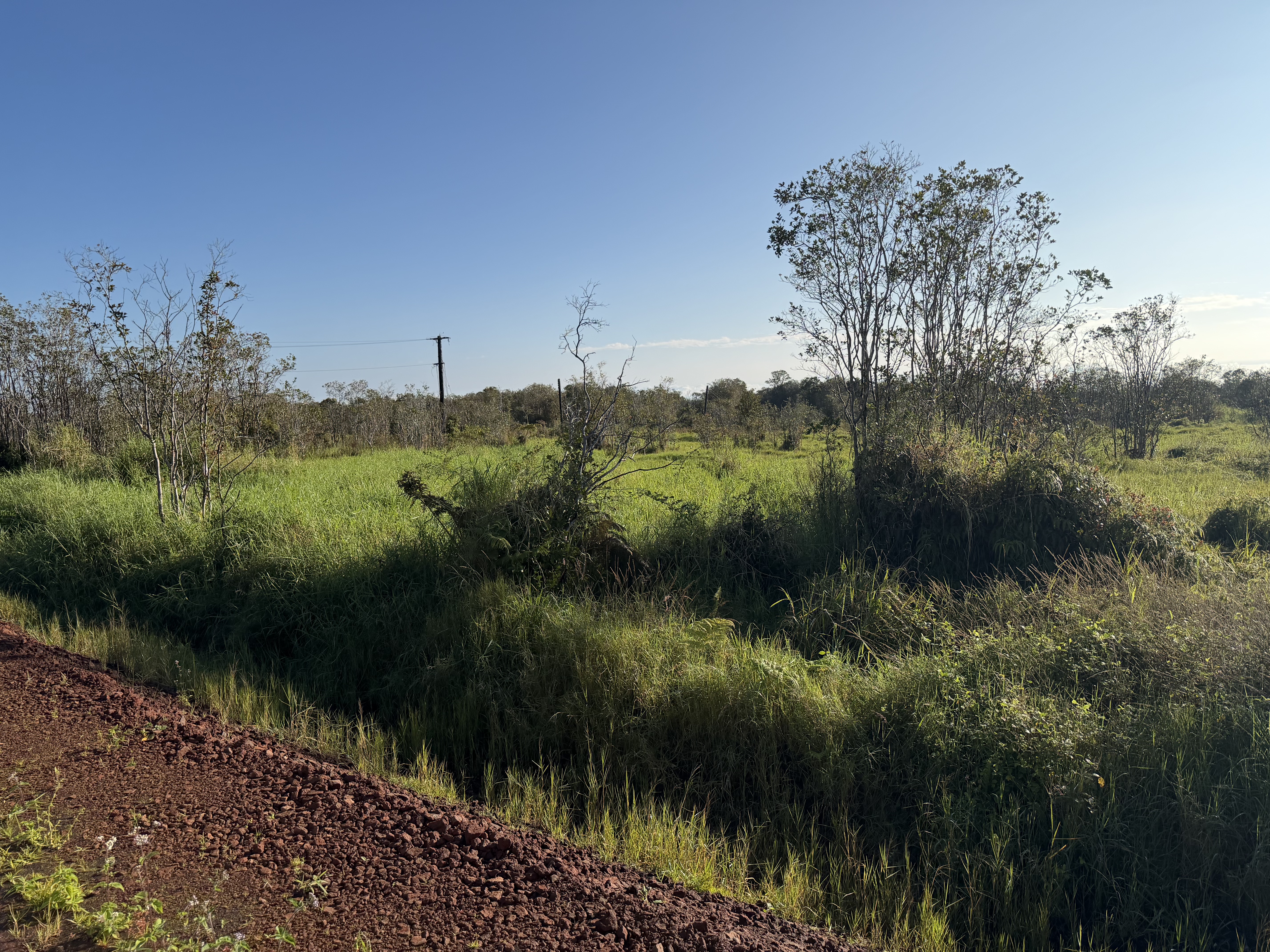Wailani Nui Dr Property Photo 4