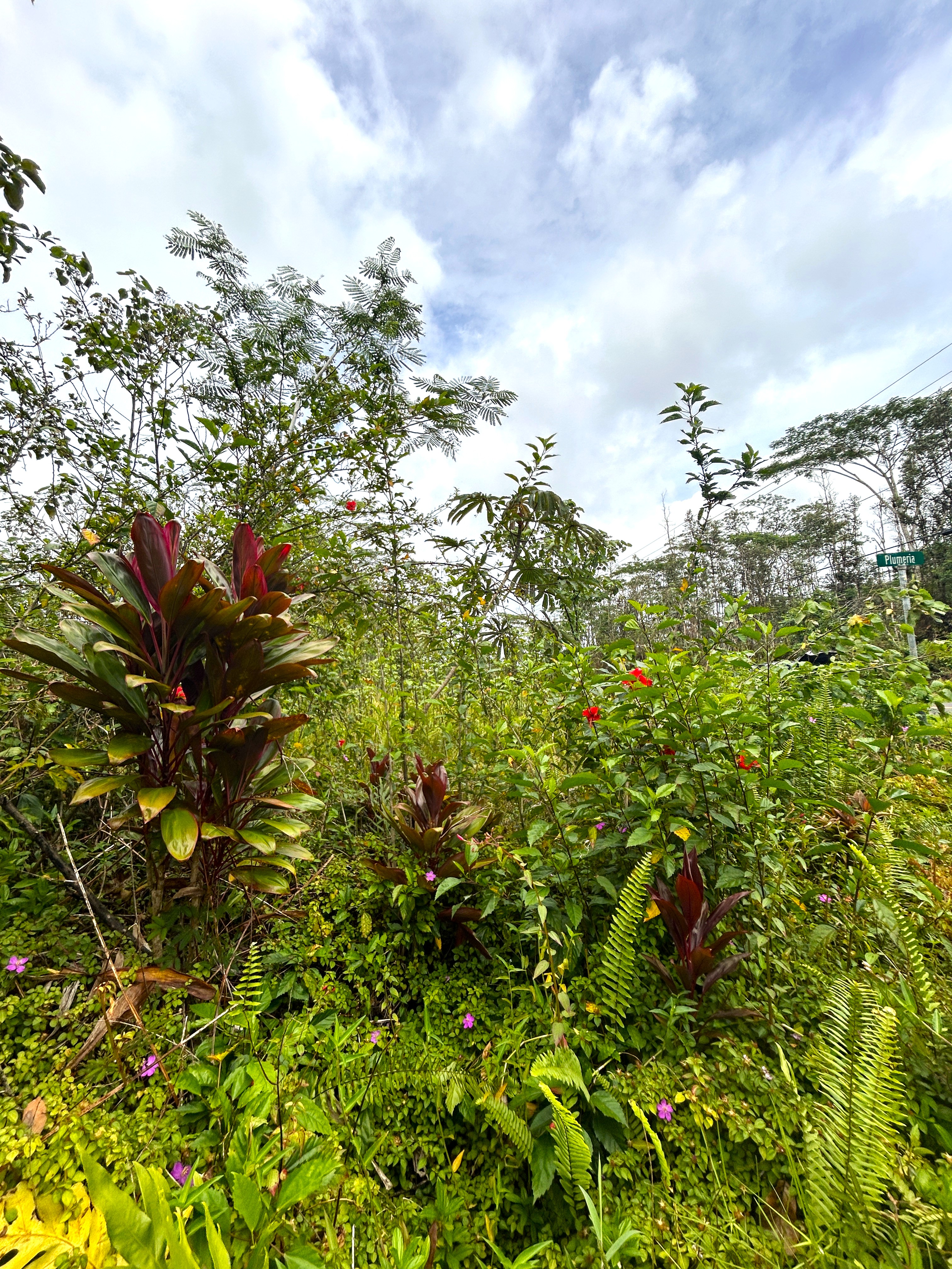 Plumeria Rd Property Photo 1