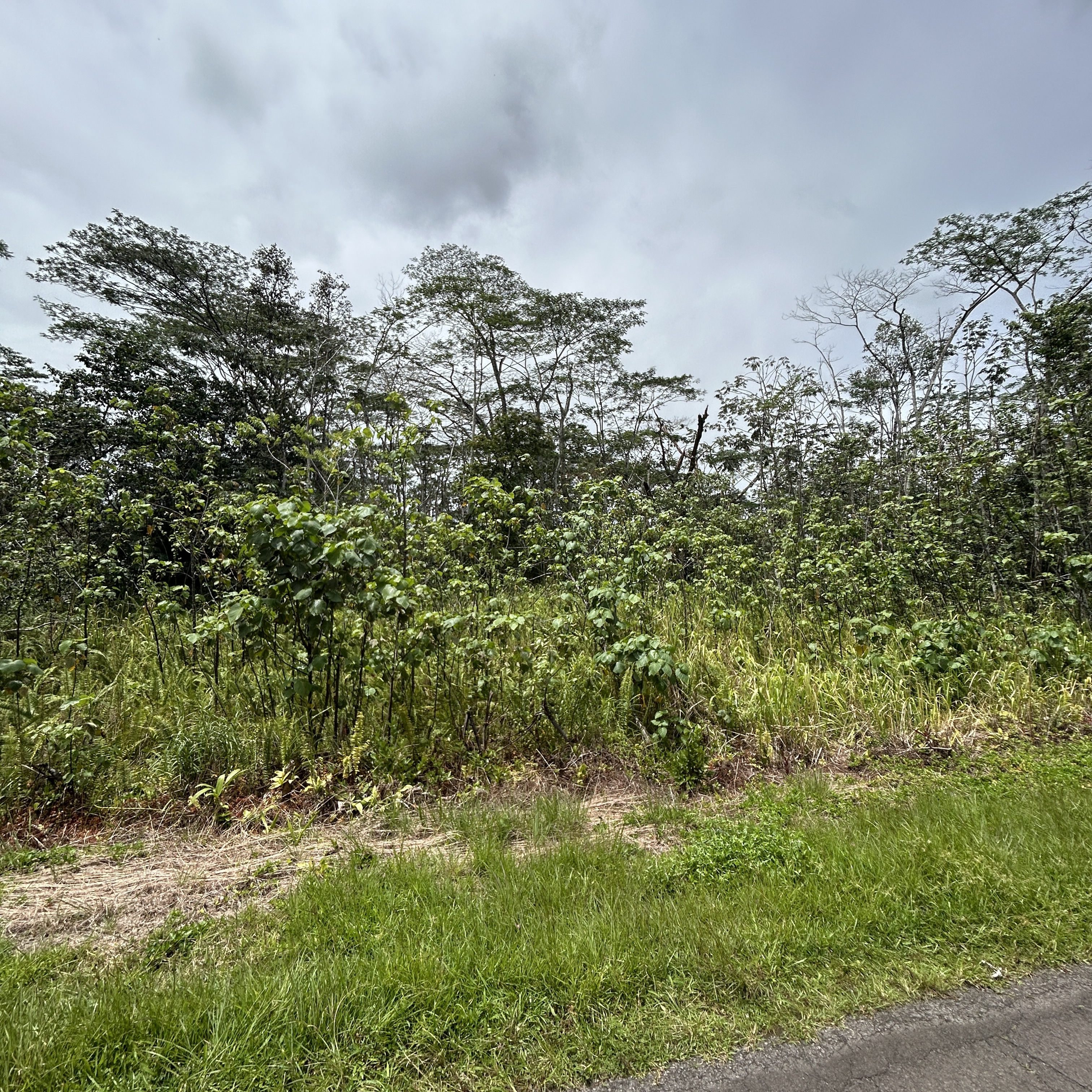 Plumeria Rd Property Photo 4