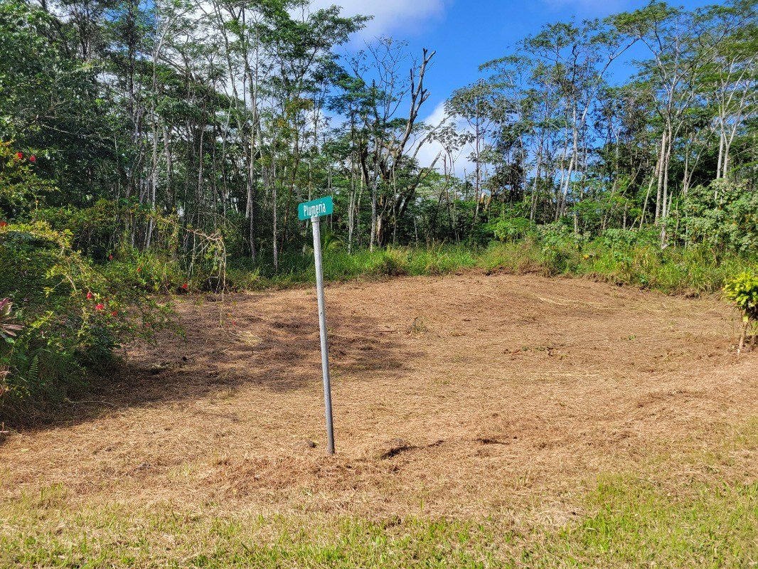 Plumeria Rd Property Photo 5