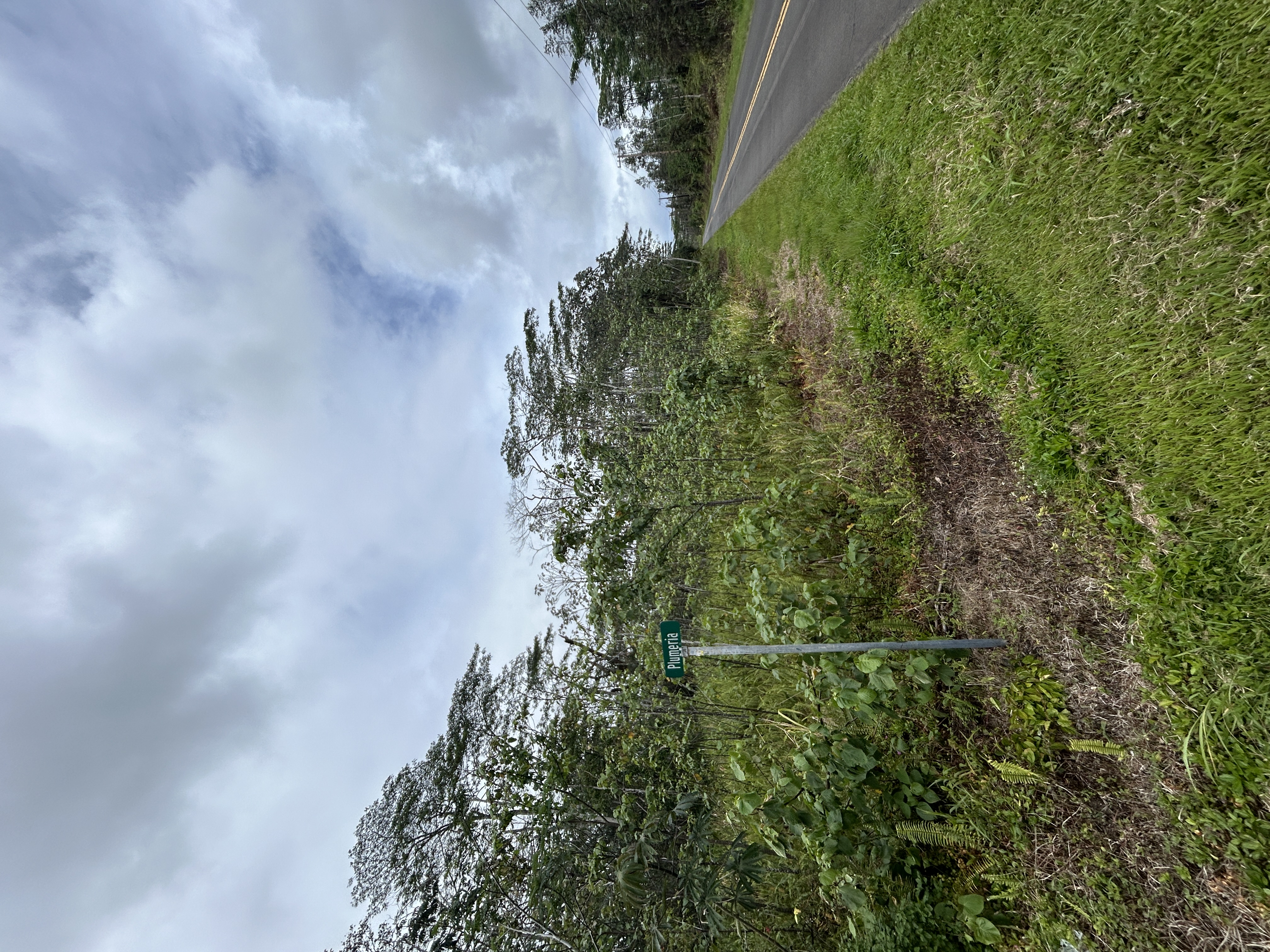 Plumeria Rd Property Photo 6