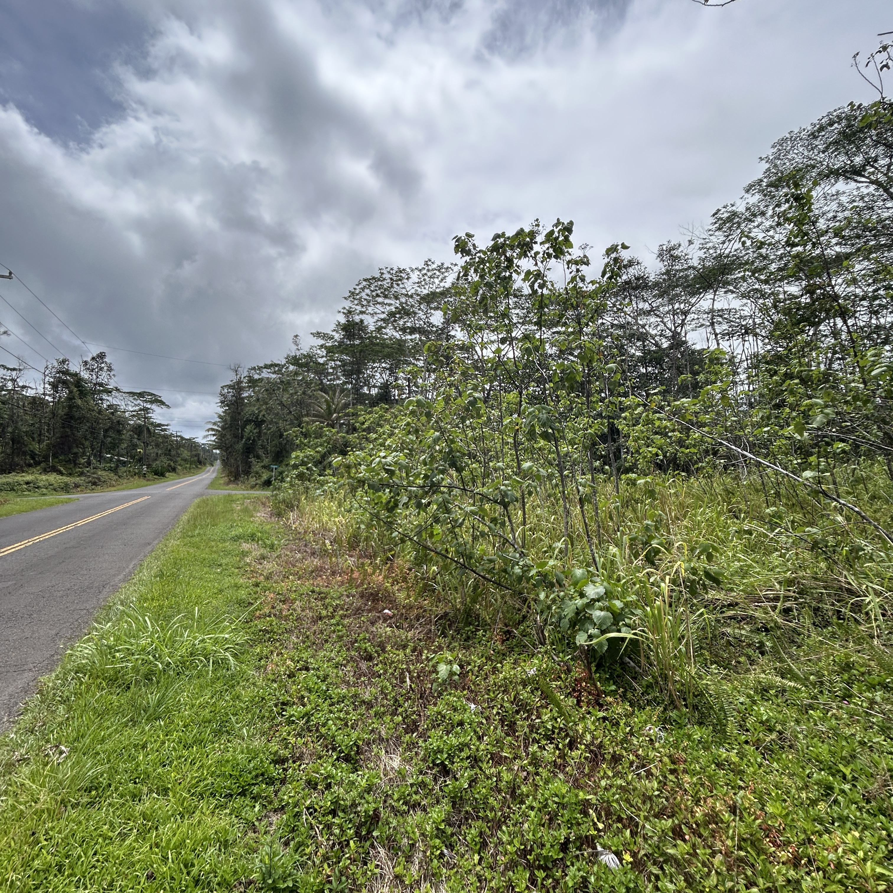 Plumeria Rd Property Photo 10