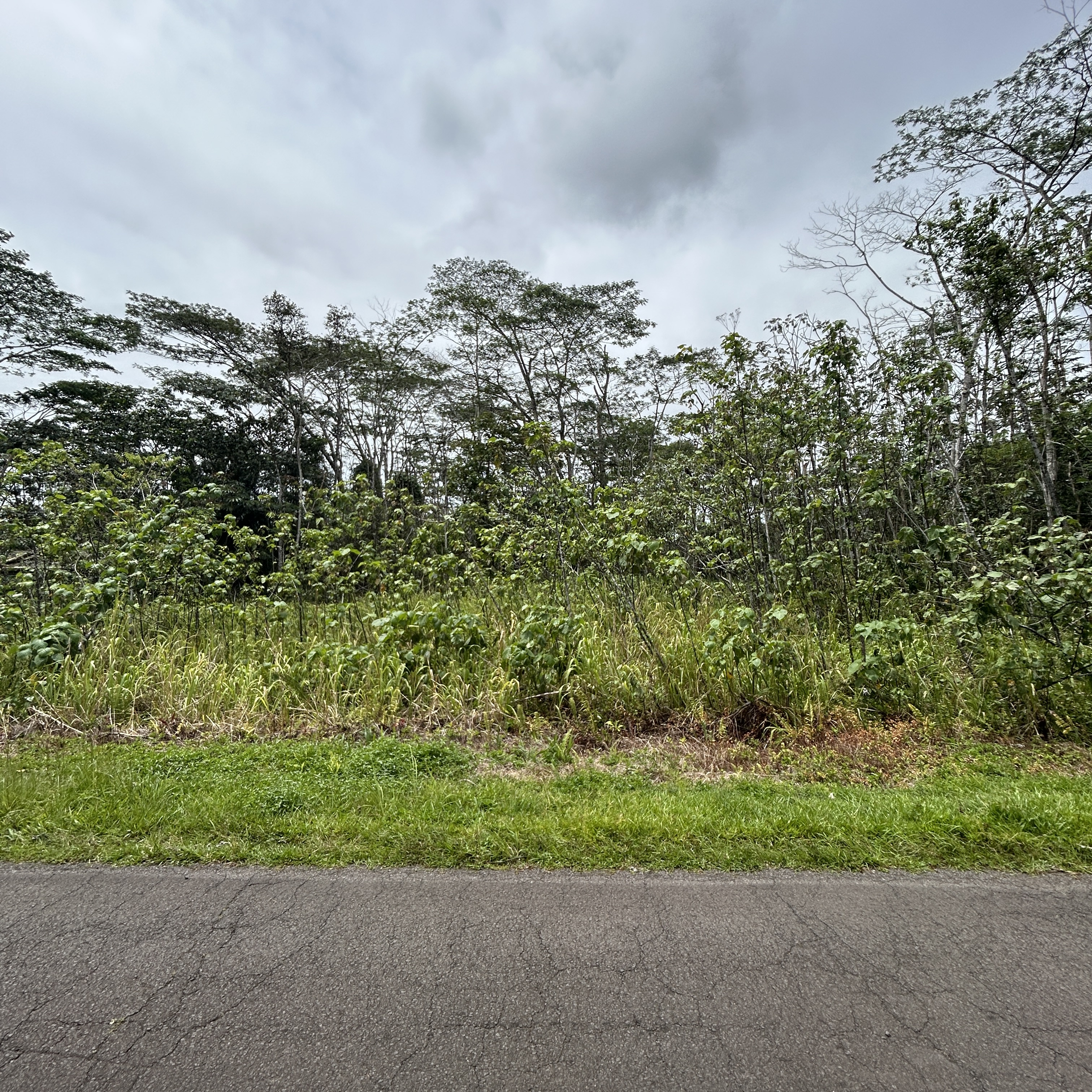 Plumeria Rd Property Photo 11
