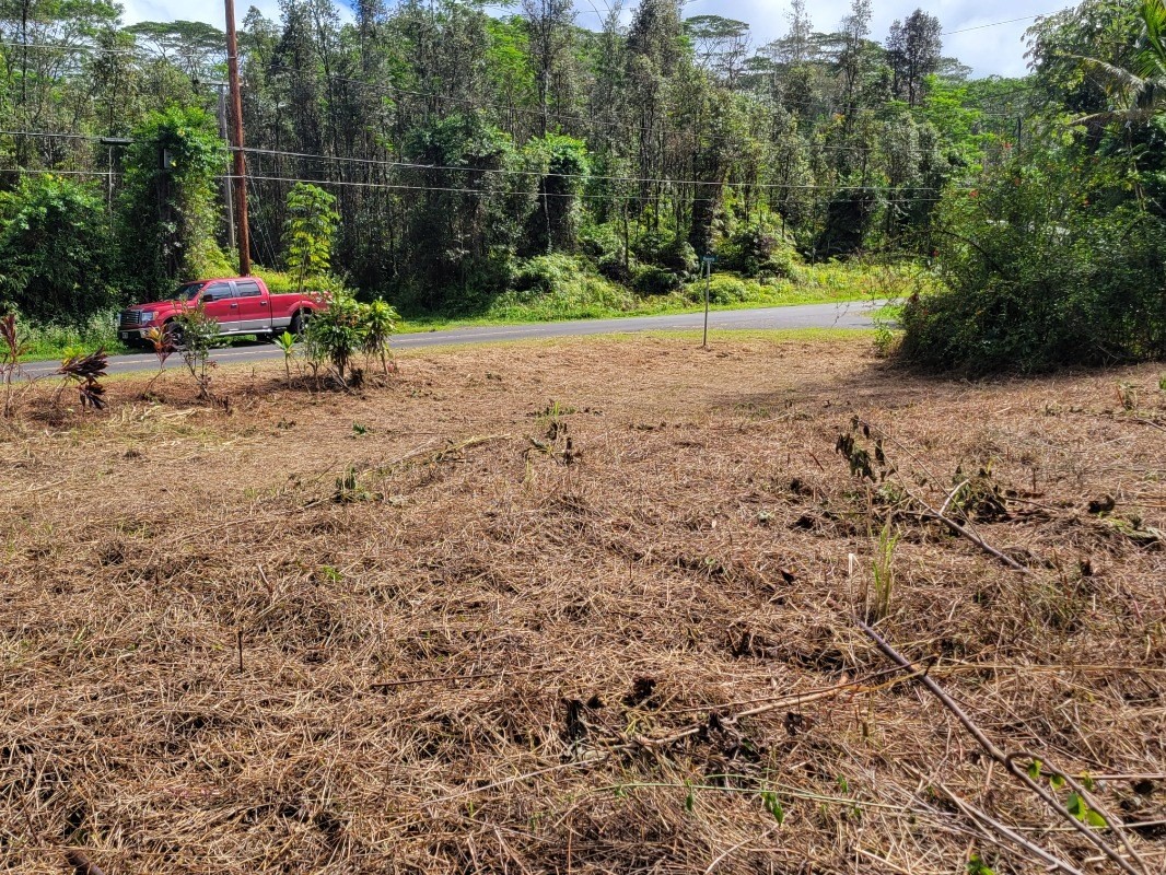 Plumeria Rd Property Photo 15