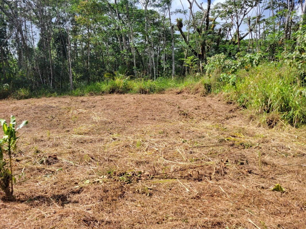 Plumeria Rd Property Photo 17
