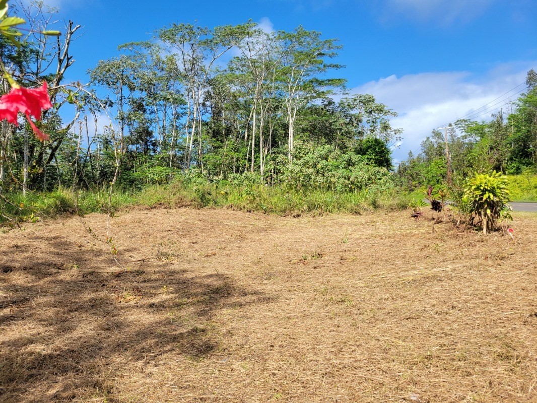 Plumeria Rd Property Photo 18