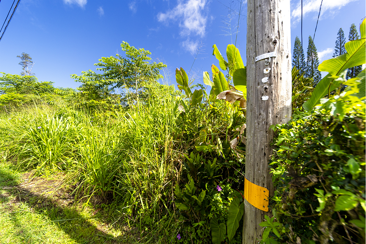 Mahimahi St Property Photo 9