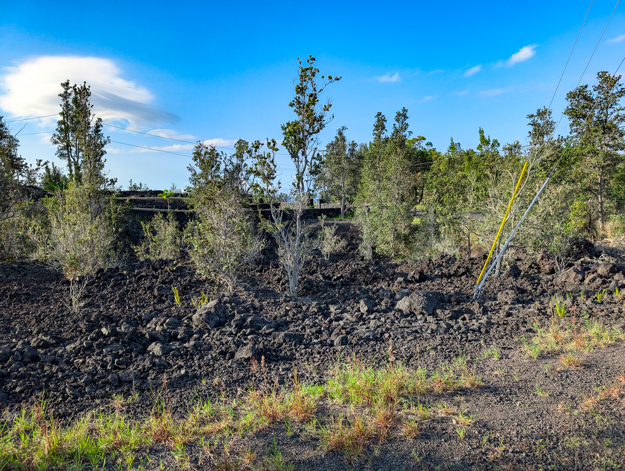 Leilani Circle Mauka Property Photo 2