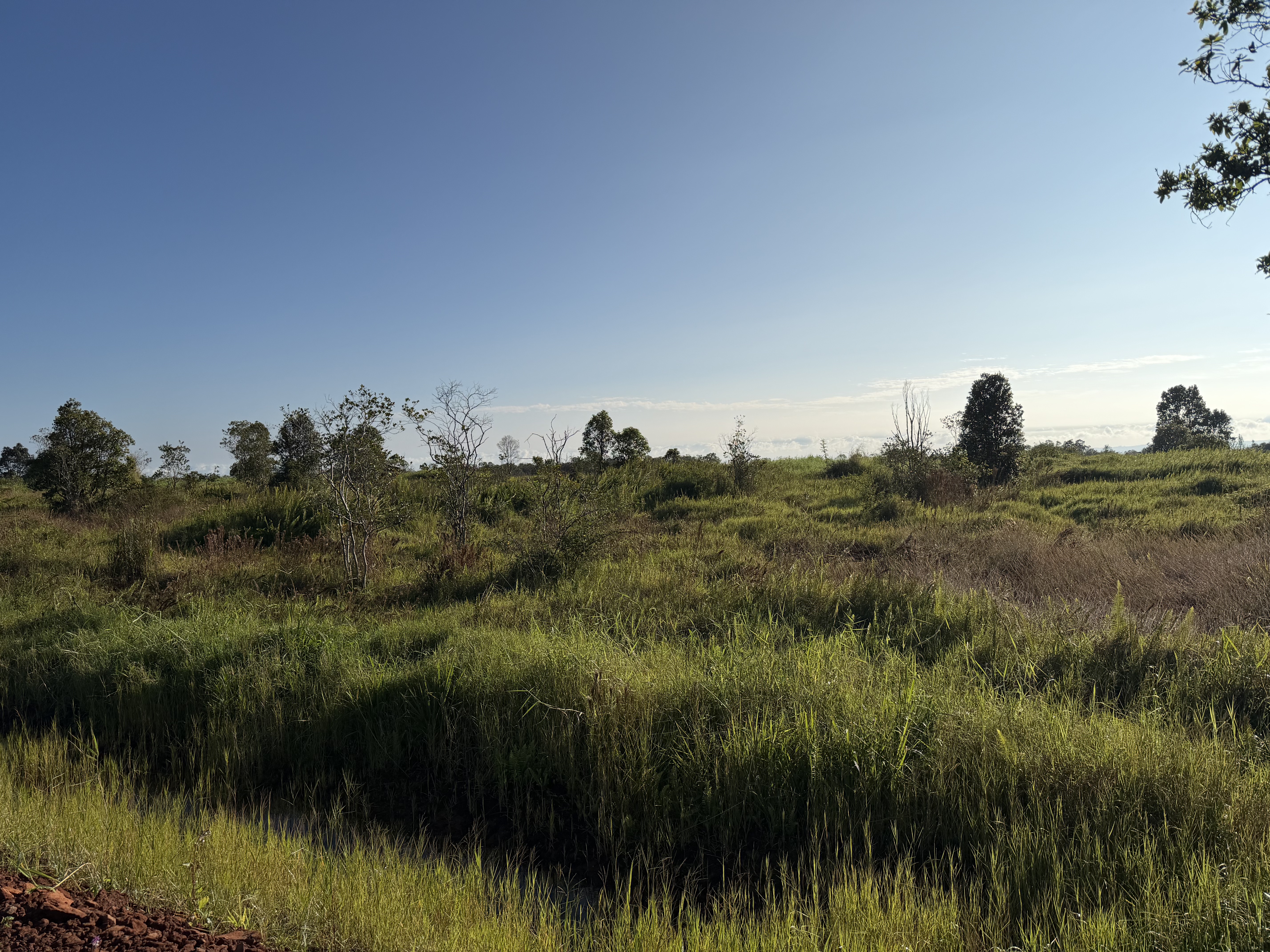 Wailani Nui Dr Property Photo 1