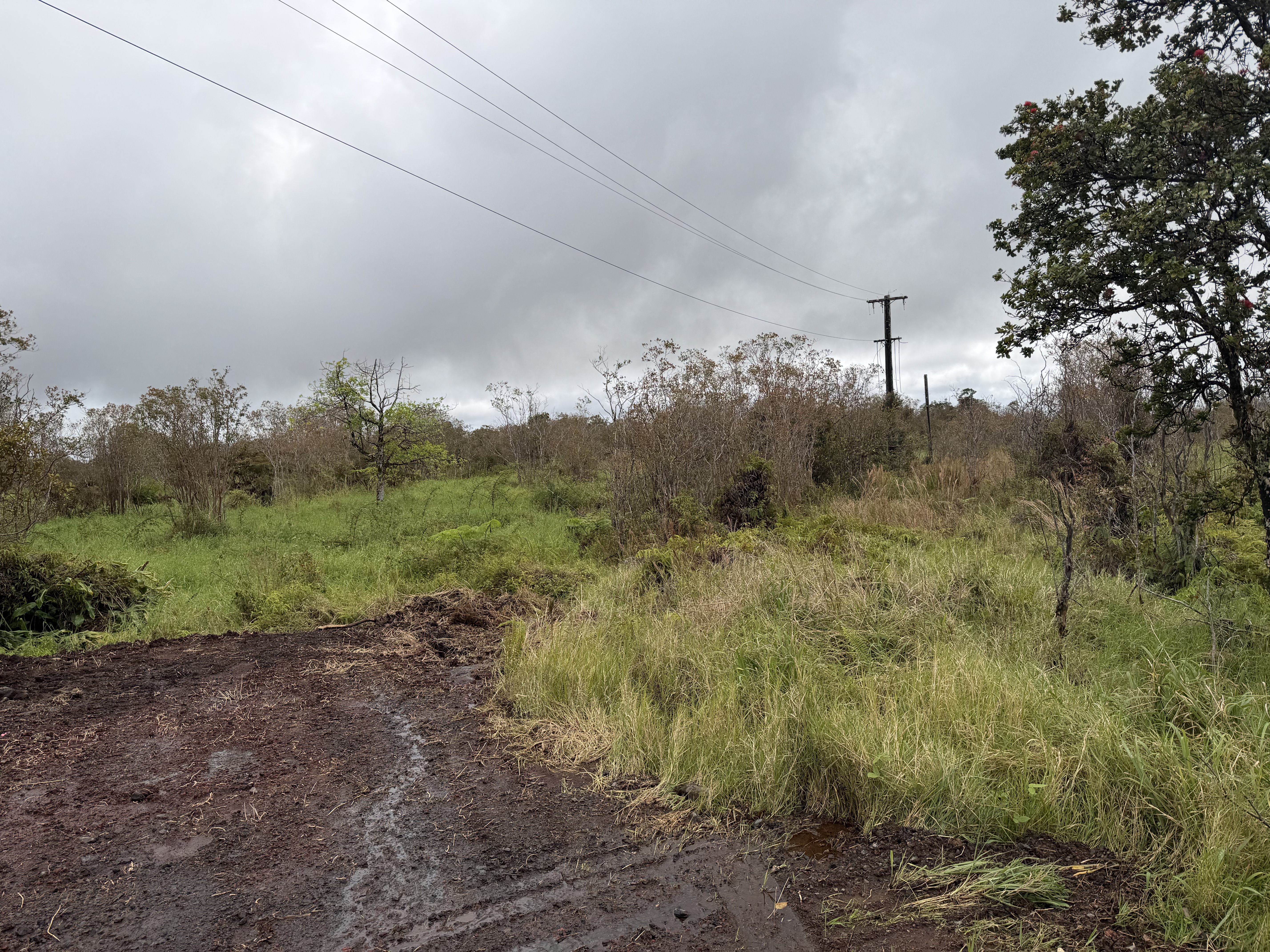 Wailani Nui Dr Property Photo 3