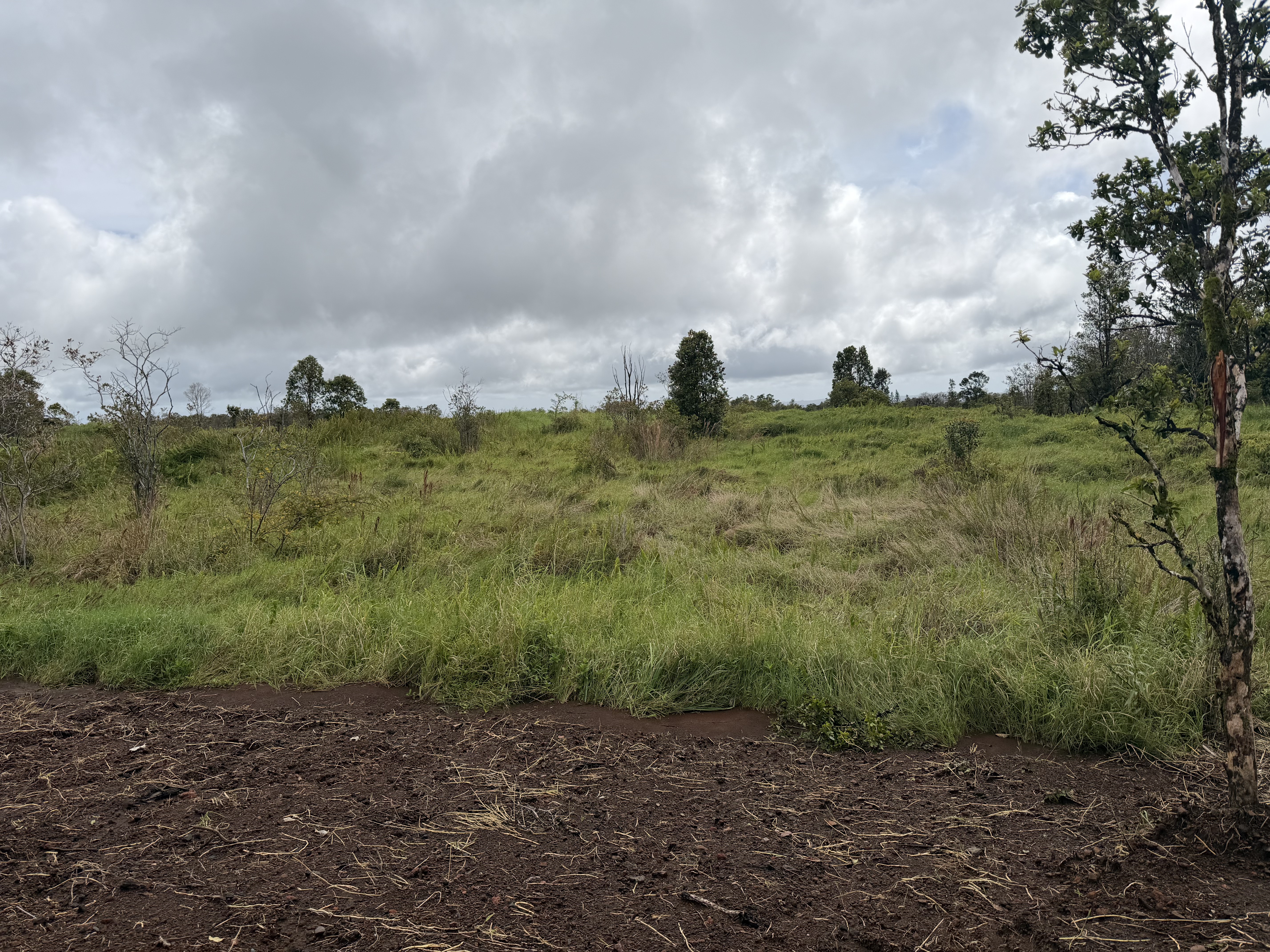 Wailani Nui Dr Property Photo 6