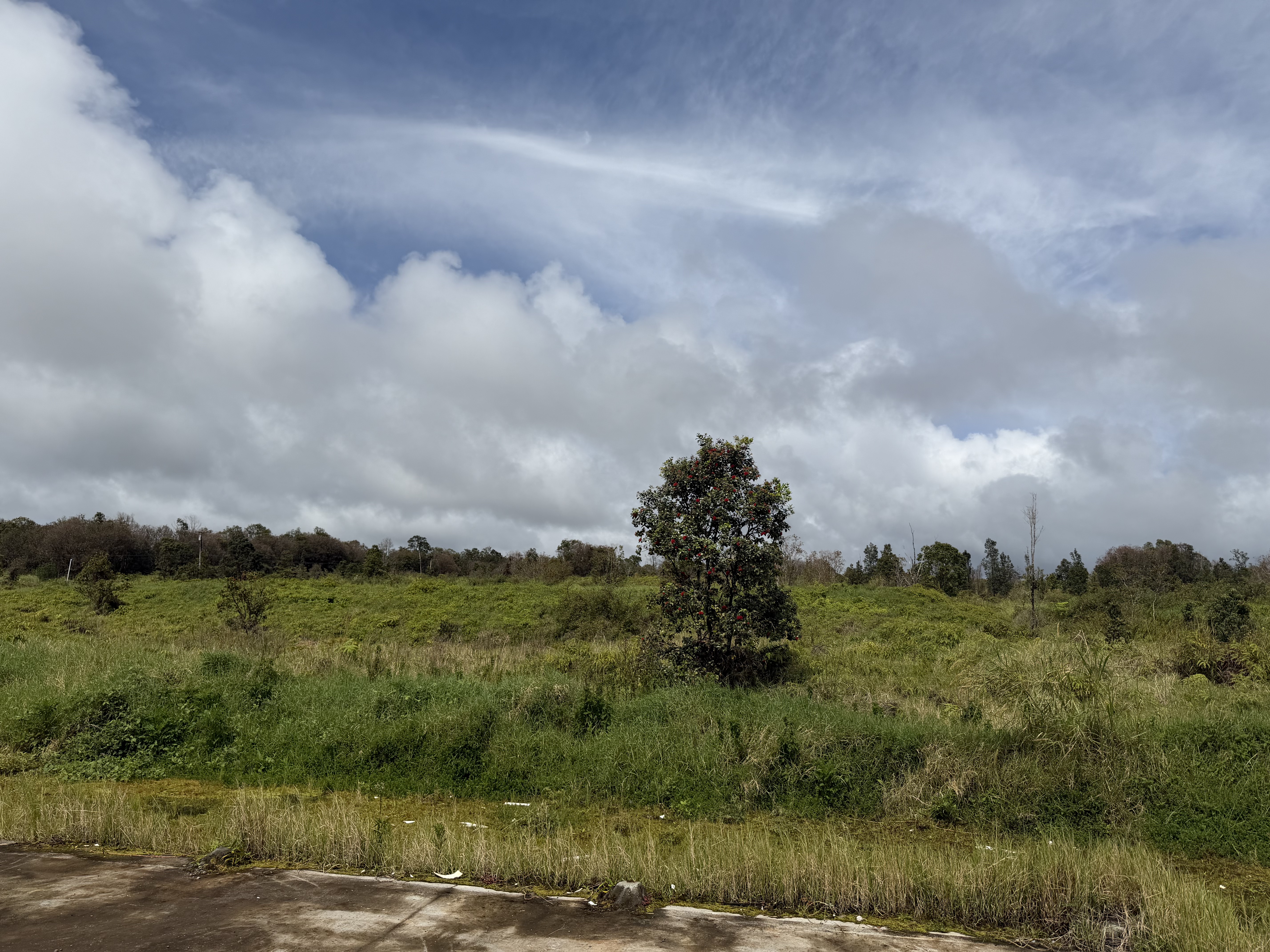 Wailani Nui Dr Property Photo 7
