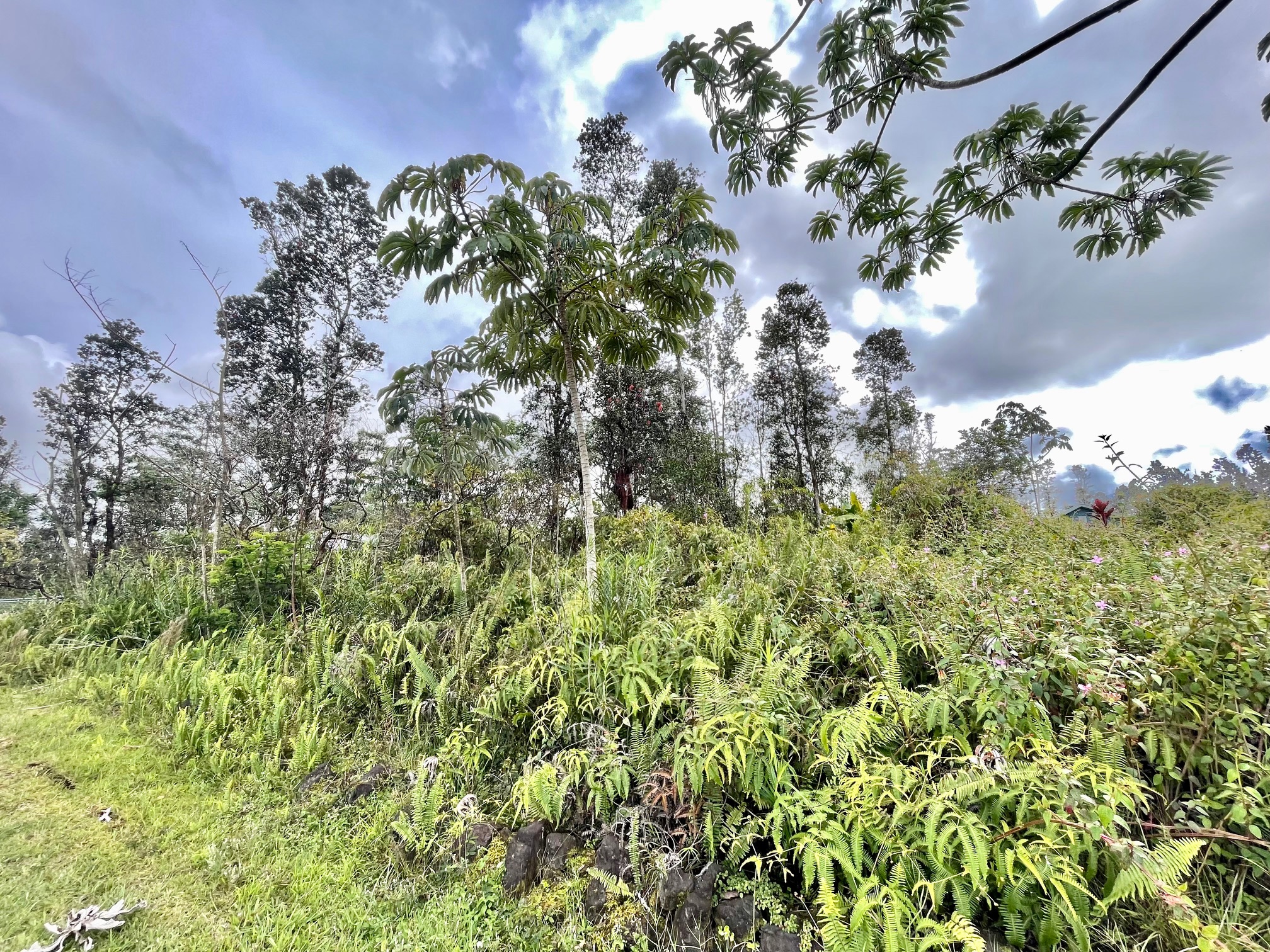 Azure Dr Property Photo 4