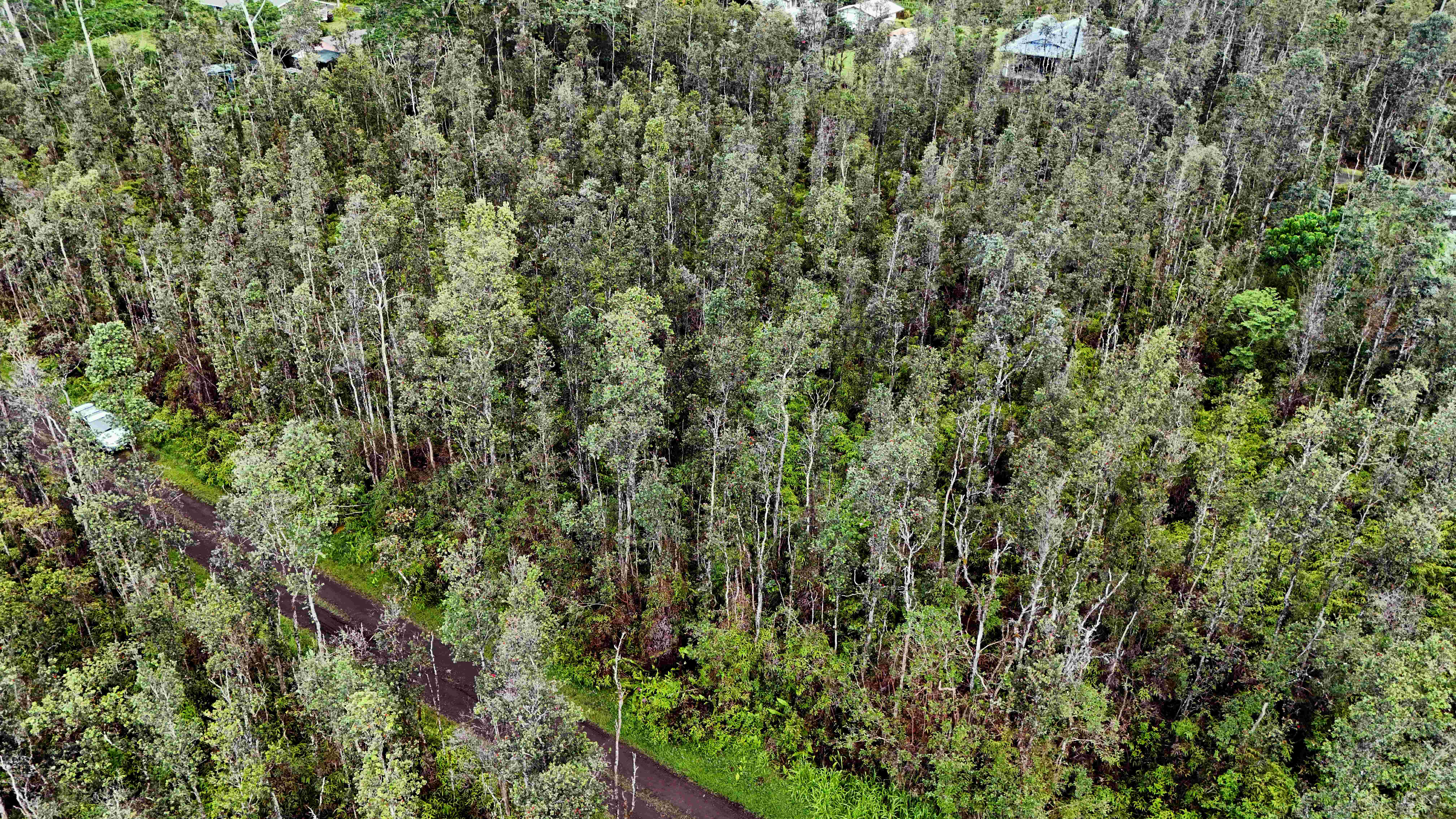 14-3415 Niihau Rd Property Photo 3