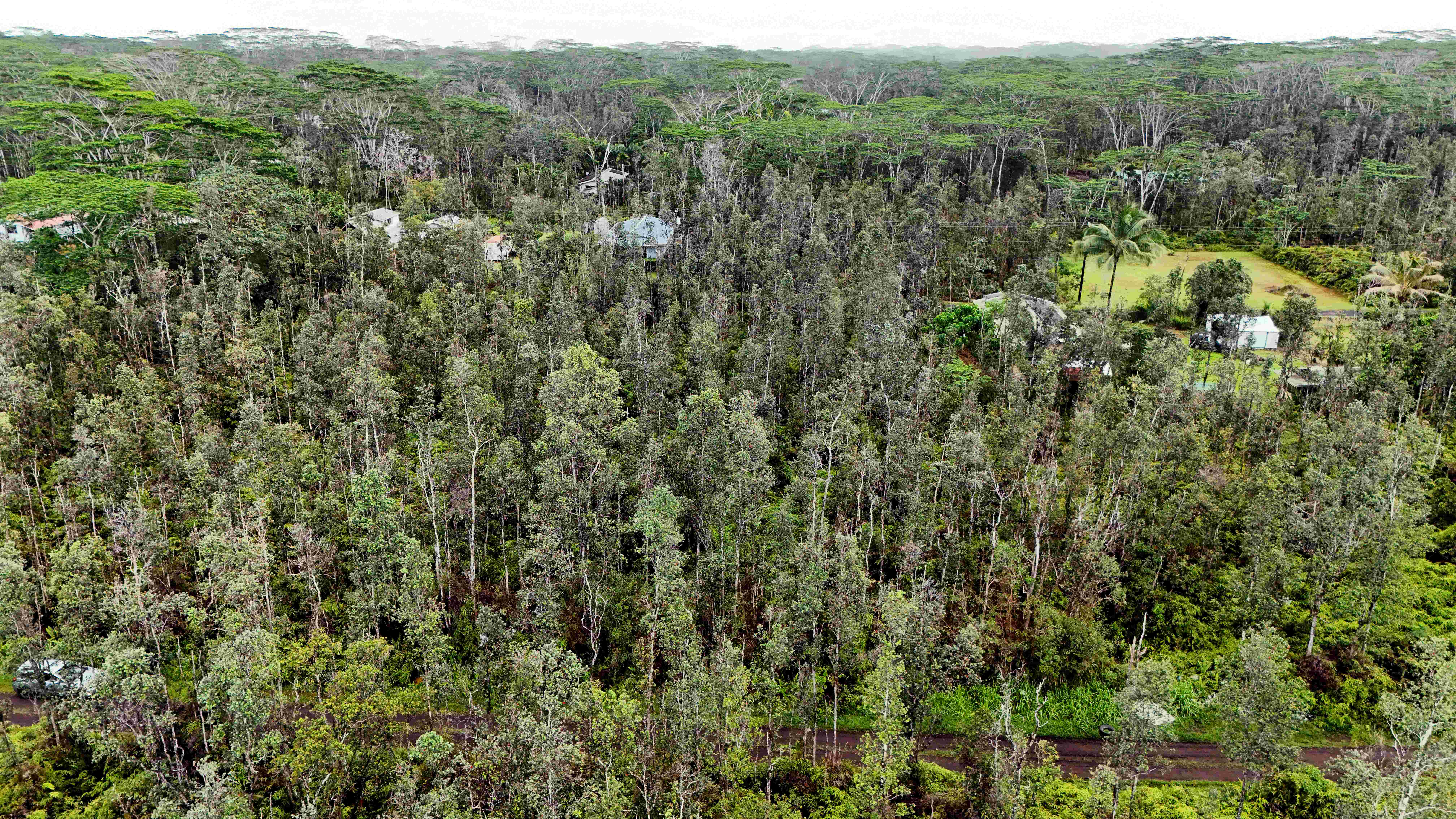 14-3415 Niihau Rd Property Photo 6