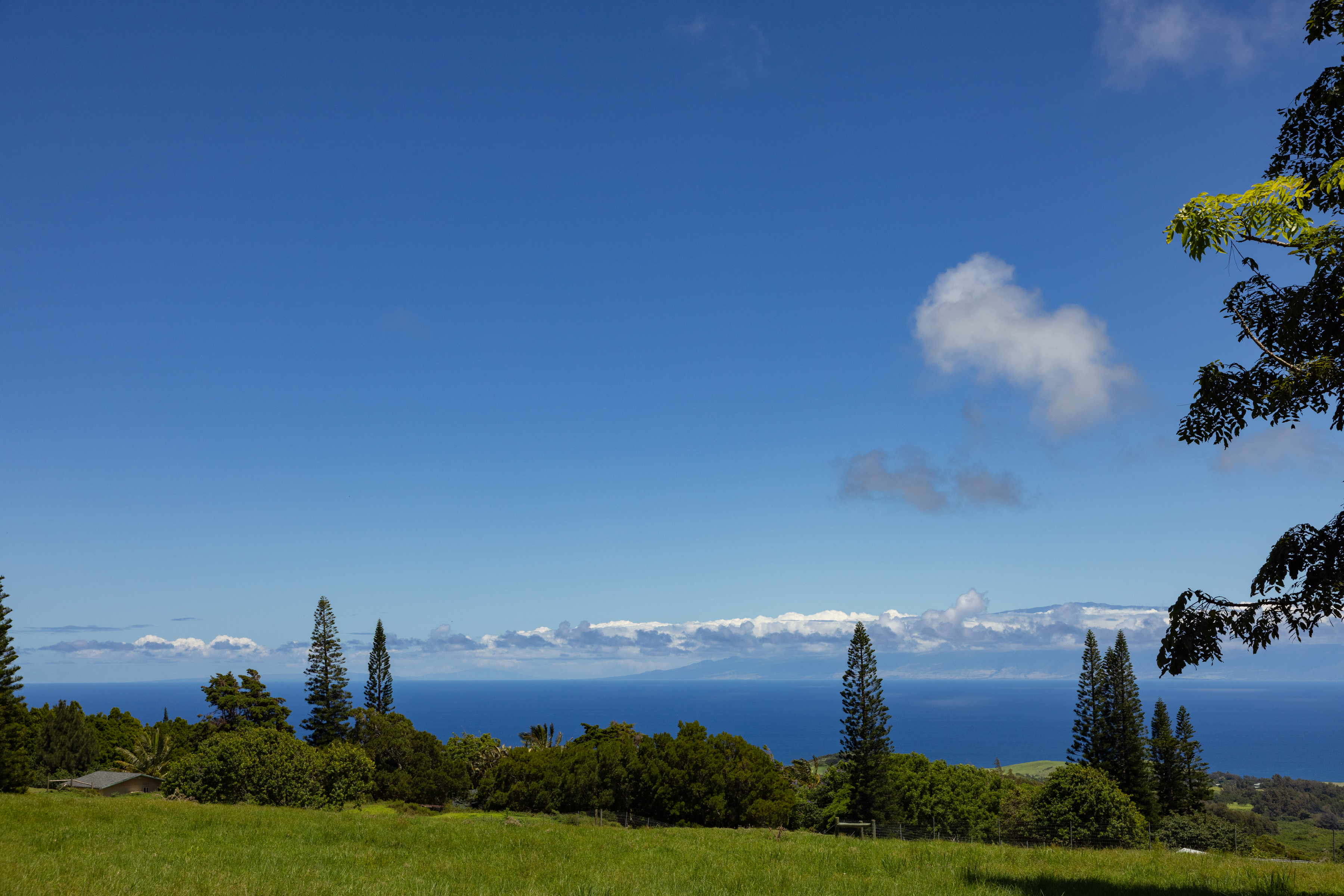 Waiolu Pl Property Photo 1