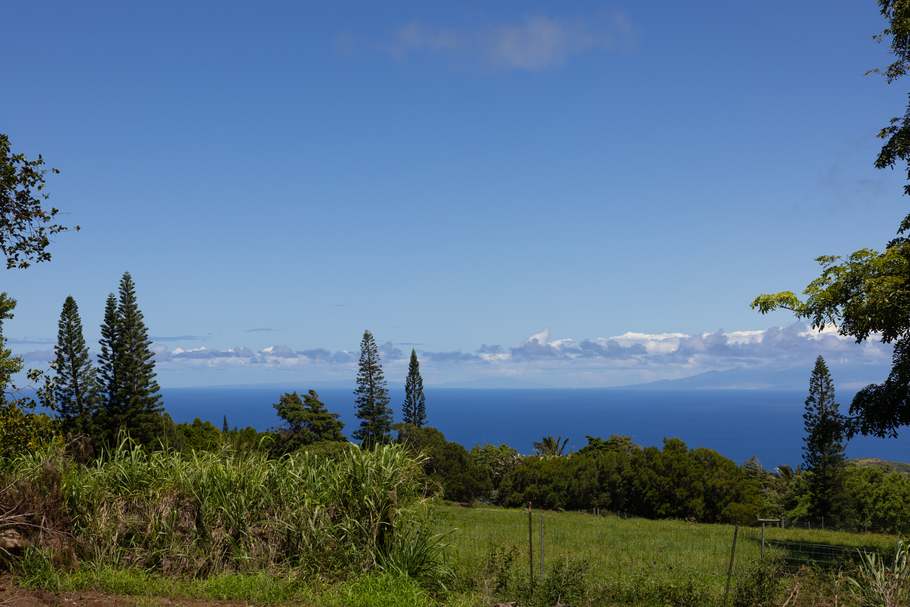 Waiolu Pl Property Photo 2