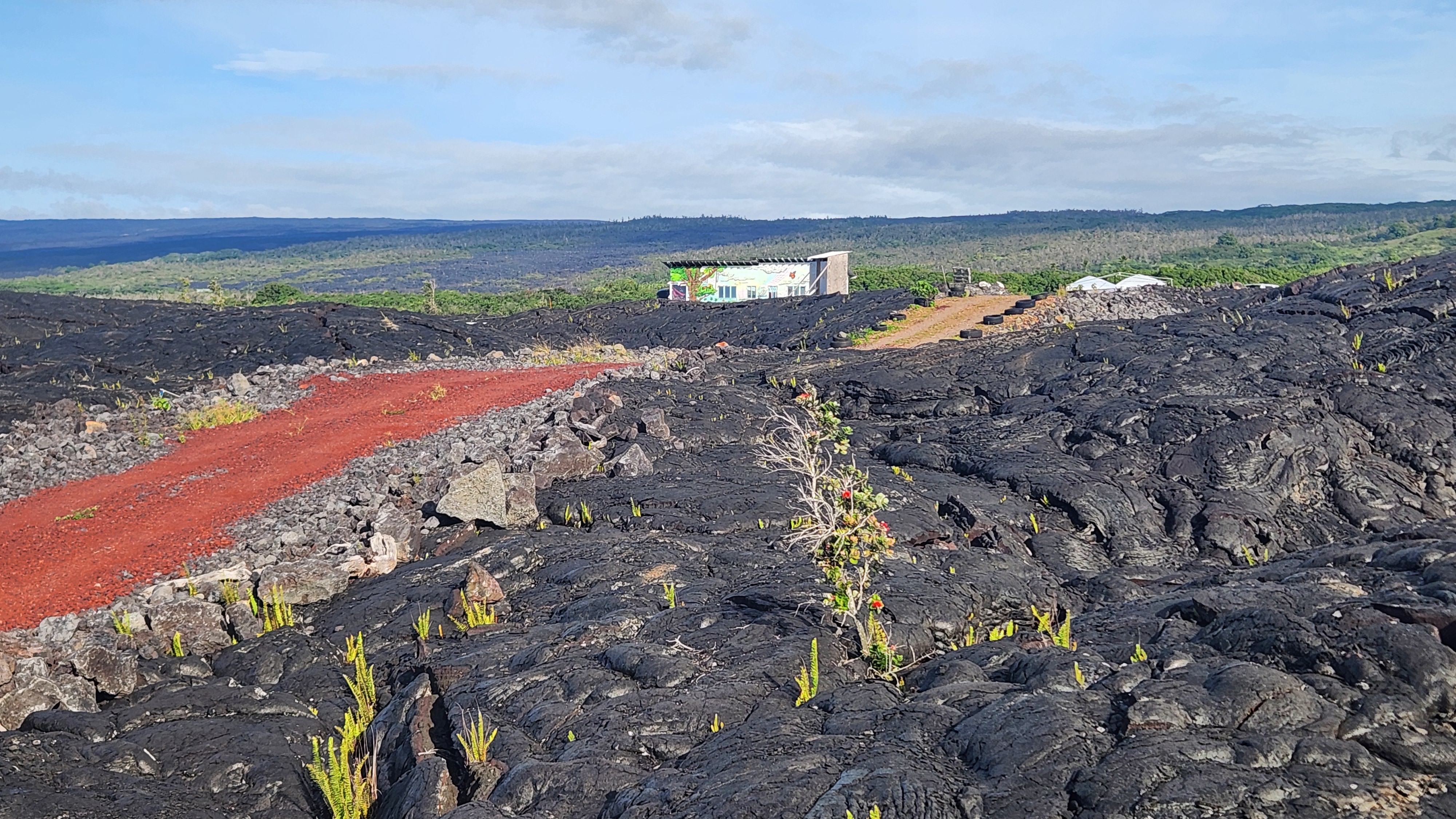 12-4901 Kaimu Chain Of Craters Rd Property Photo 14