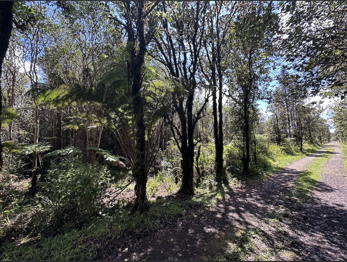 Road 11 Property Photo 1