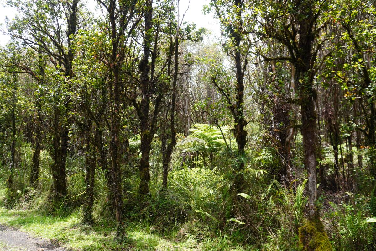 Road 11 Property Photo 3
