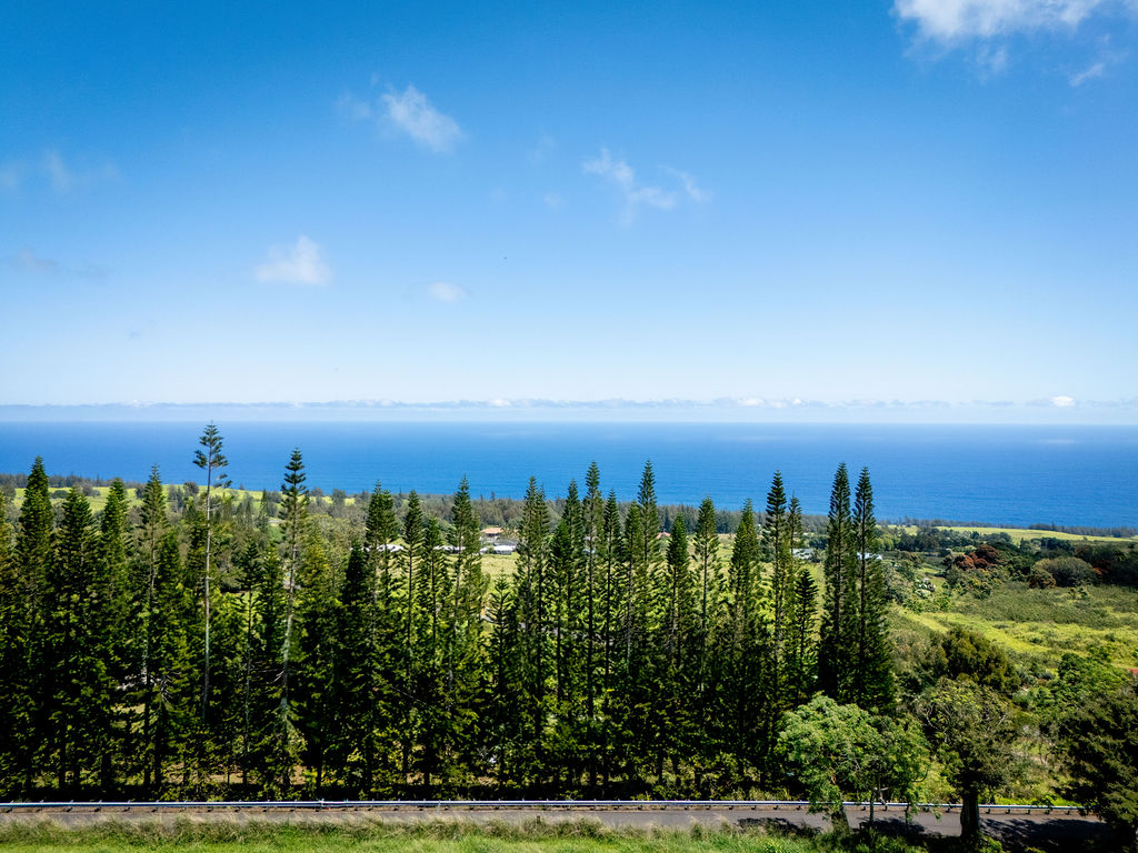44-2527 Kalopa Mauka Rd Property Photo 6