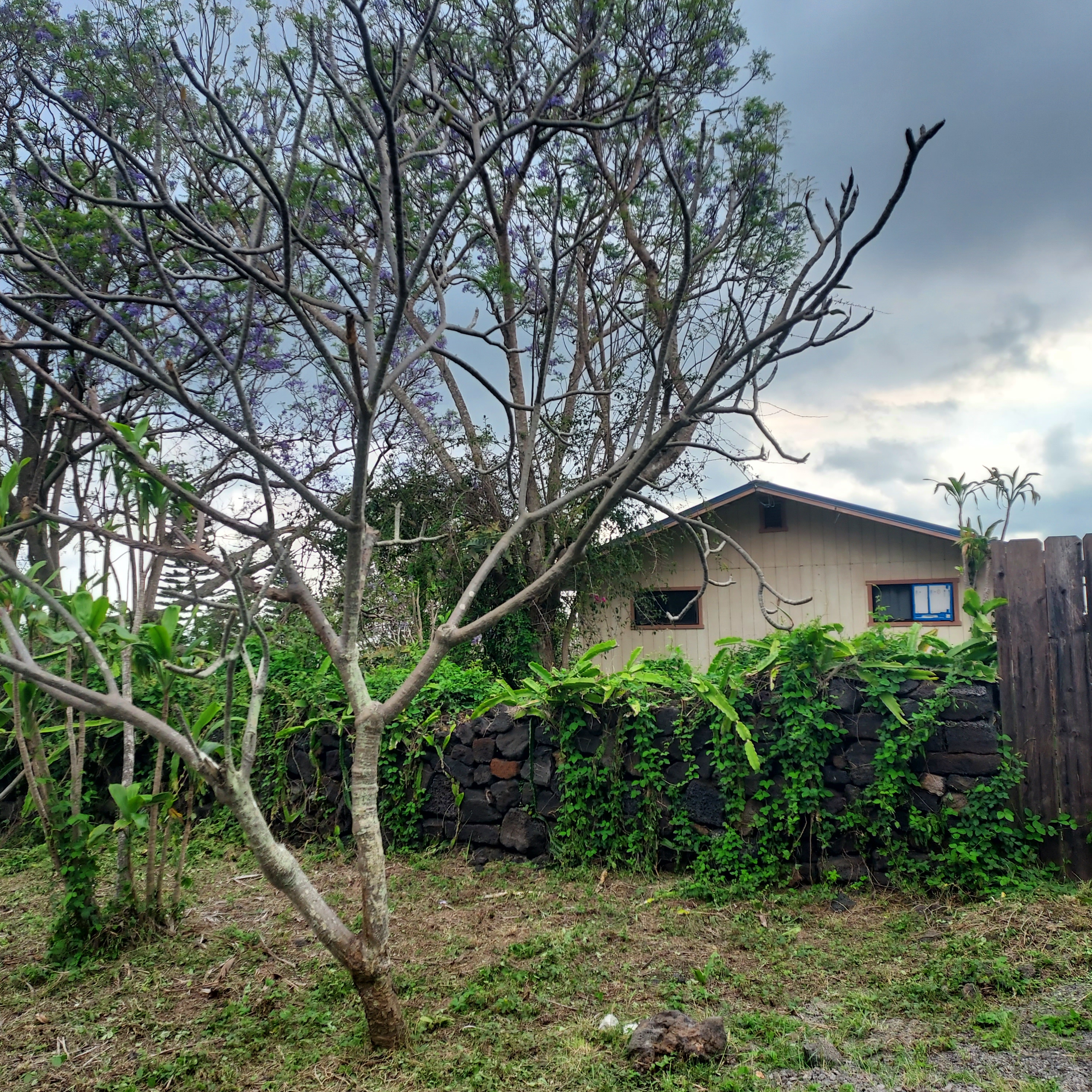 92-8643 Tiki Ln Property Photo 22