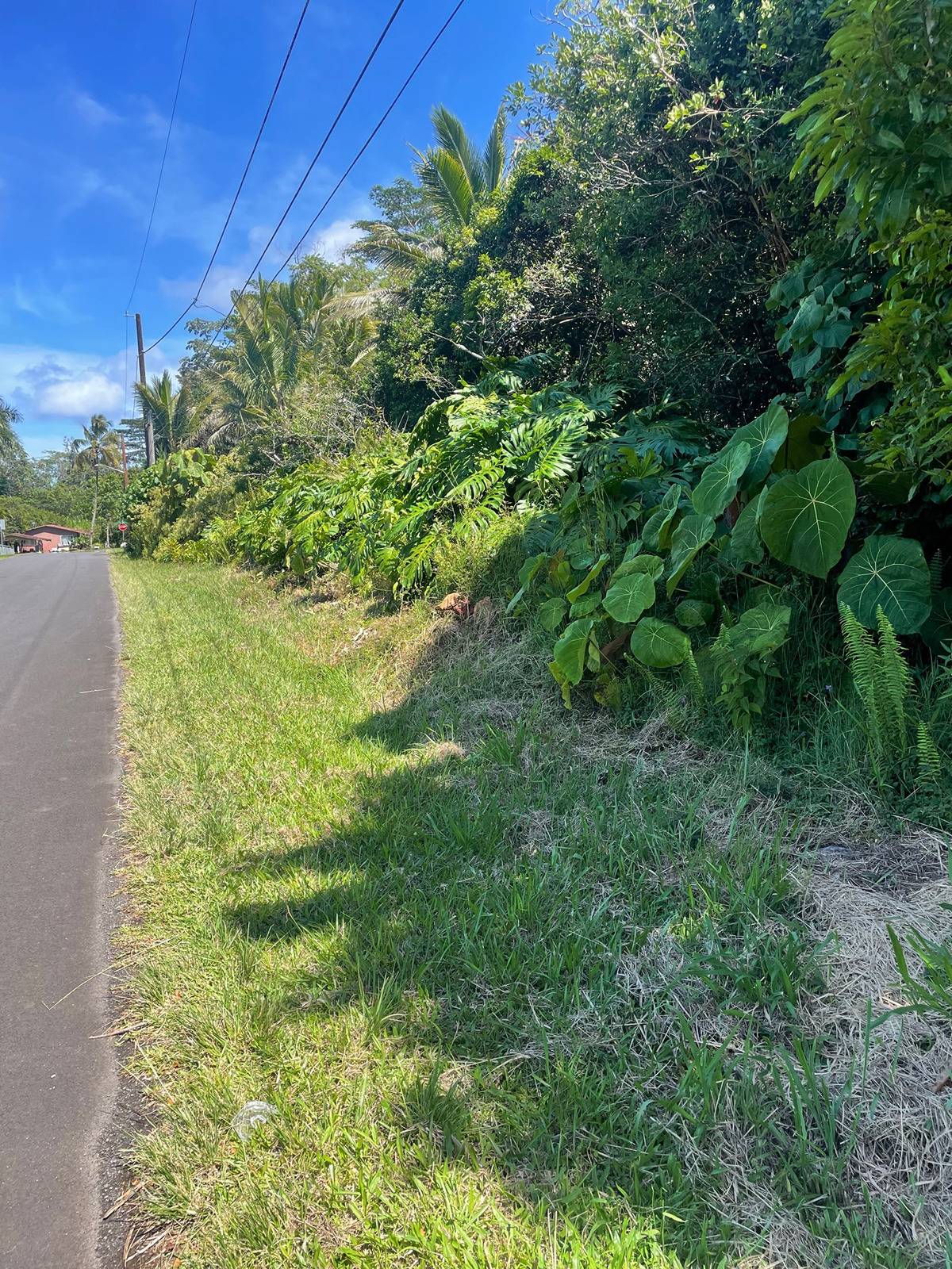 Manini St Property Photo 5