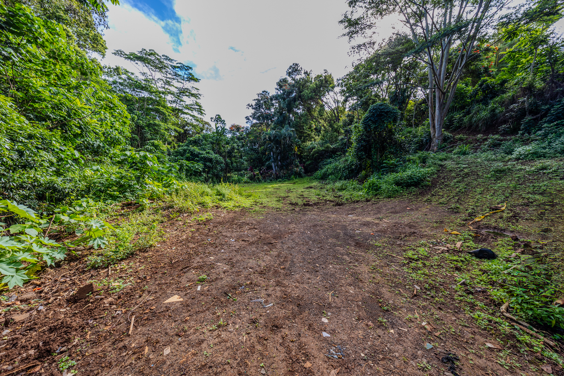 5410 Kumole St Property Photo 16