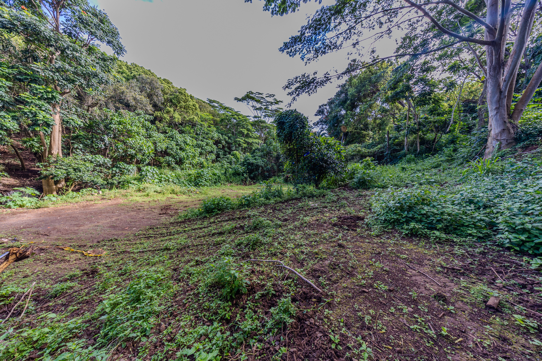 5410 Kumole St Property Photo 18