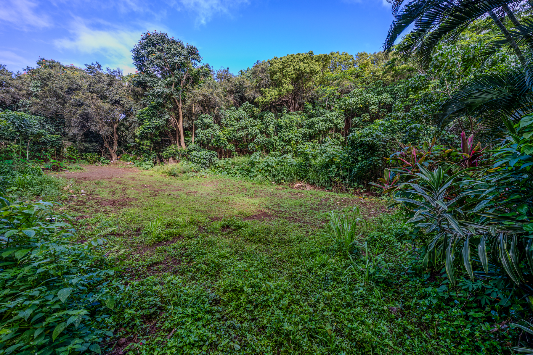 5410 Kumole St Property Photo 19