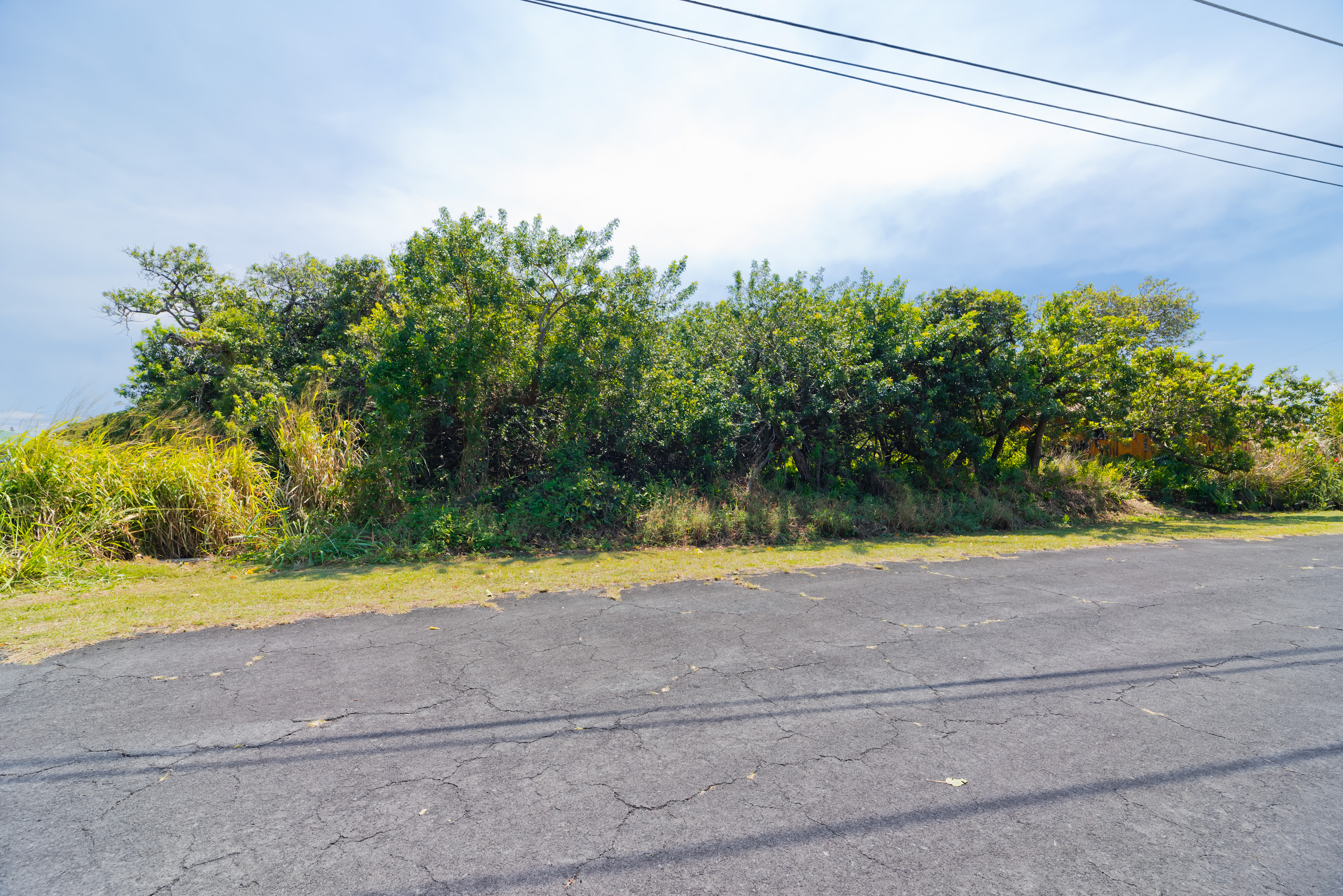 Kanaloa Pl Property Photo 4