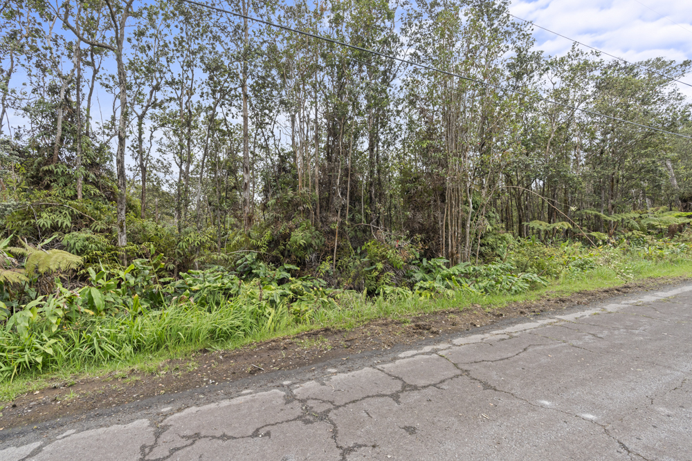 Wohi Pl Property Photo 2