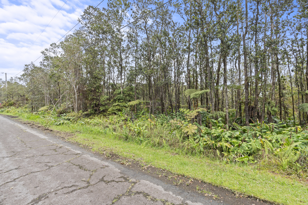 Wohi Pl Property Photo 3