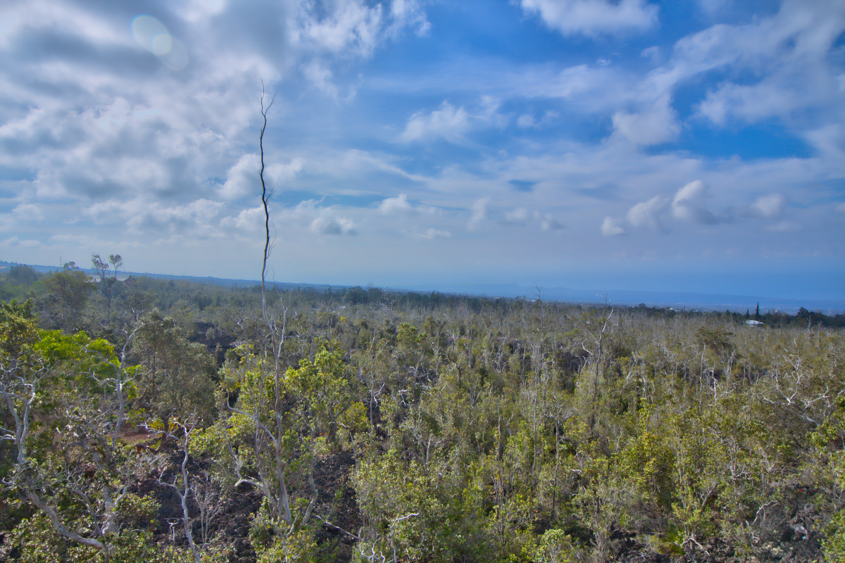 Ohia Dr Property Photo 2