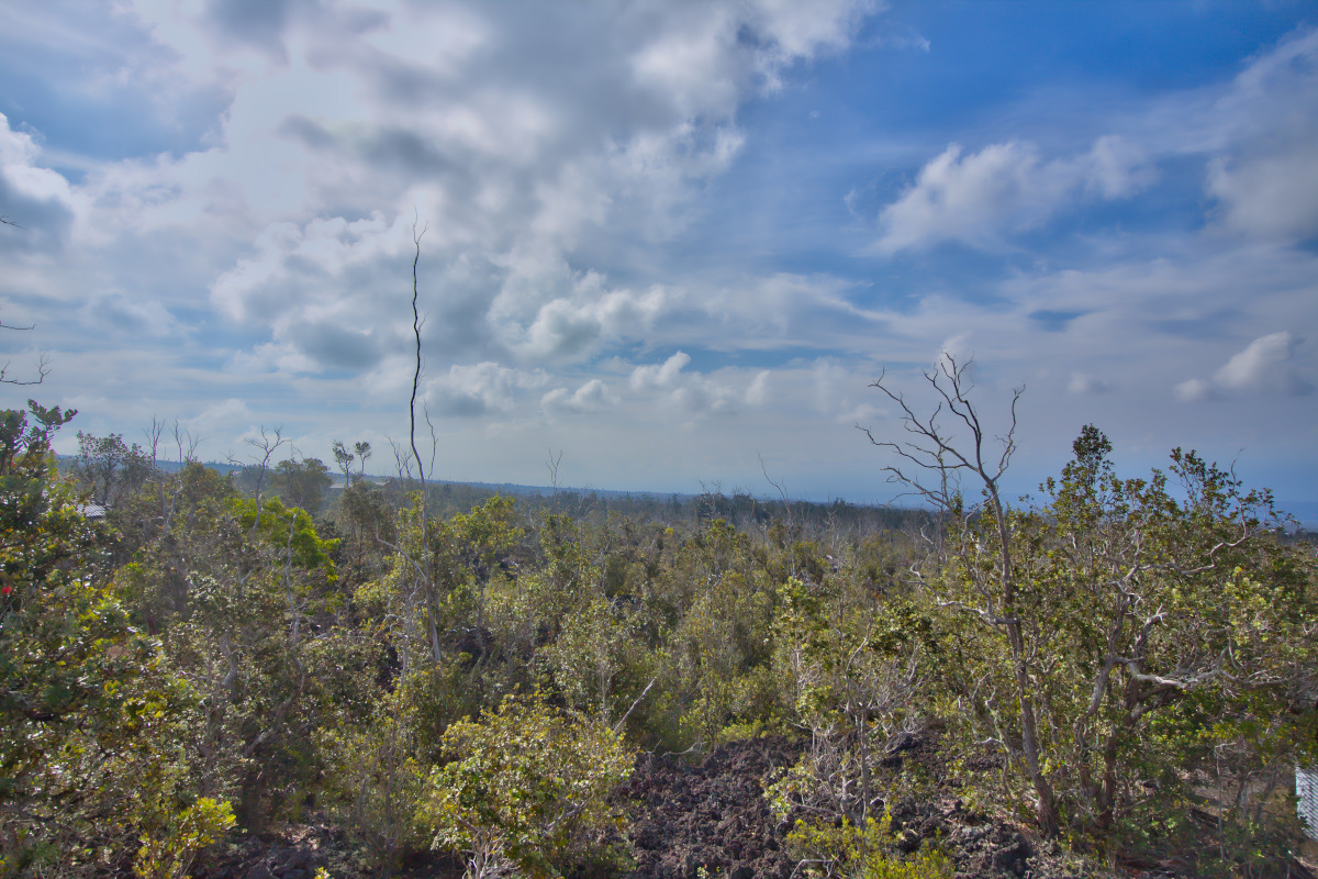 Ohia Dr Property Photo 3