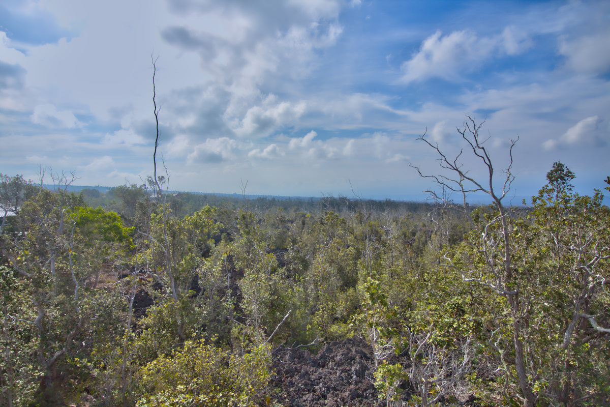 Ohia Dr Property Photo 4