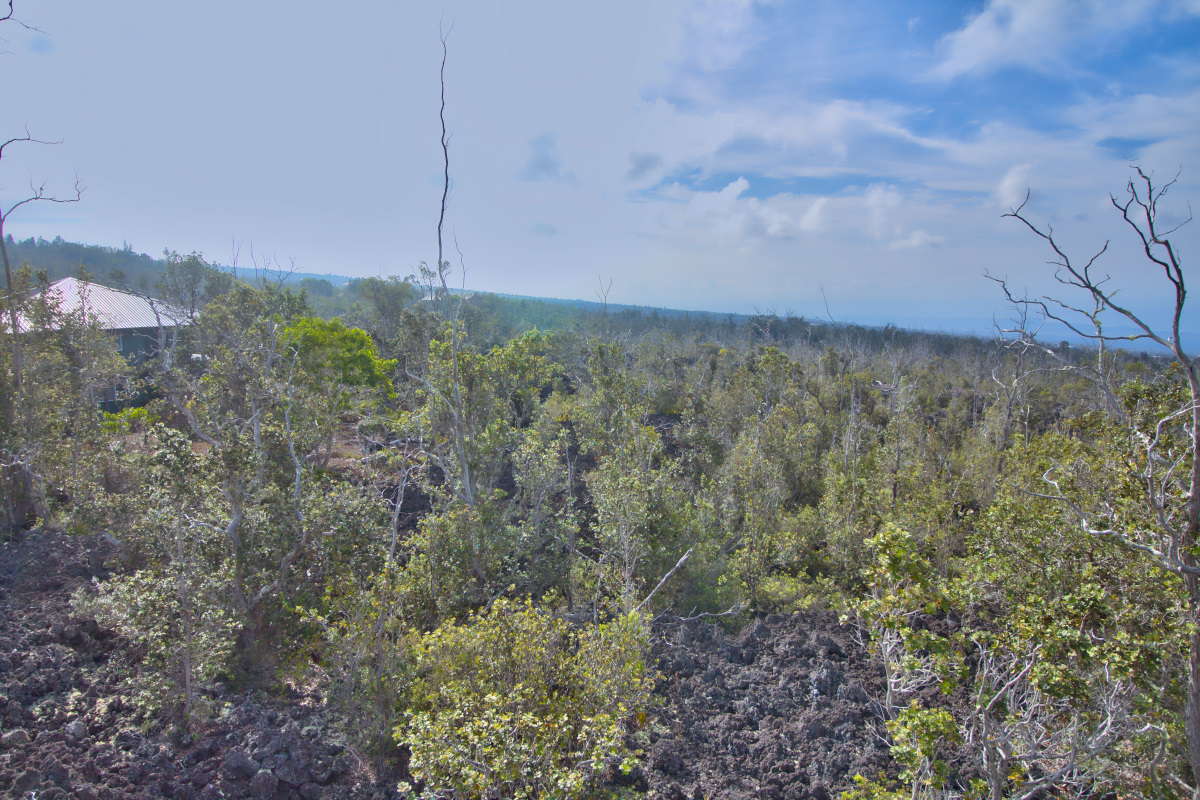 Ohia Dr Property Photo 5