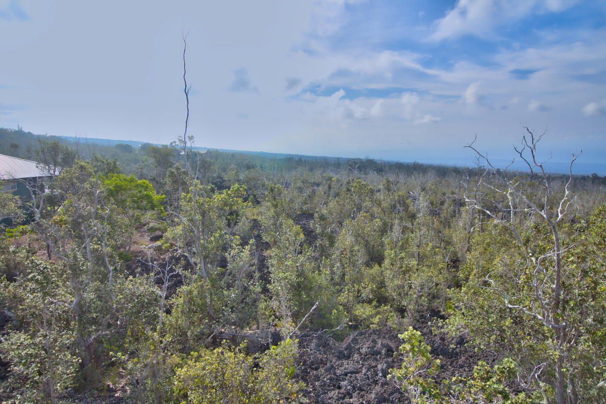 Ohia Dr Property Photo 6