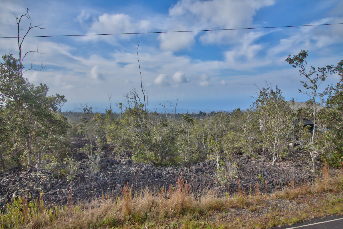 Ohia Dr Property Photo 12