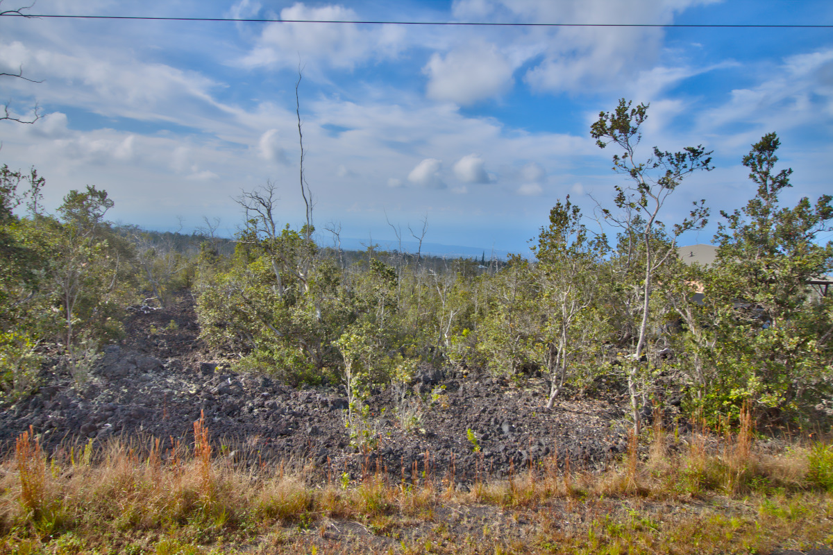 Ohia Dr Property Photo 13