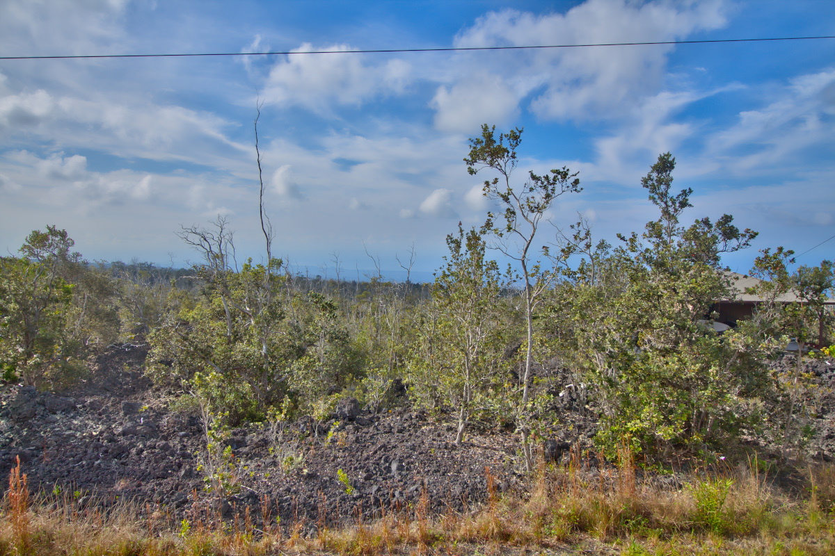 Ohia Dr Property Photo 14