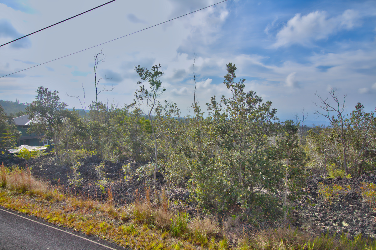 Ohia Dr Property Photo 16