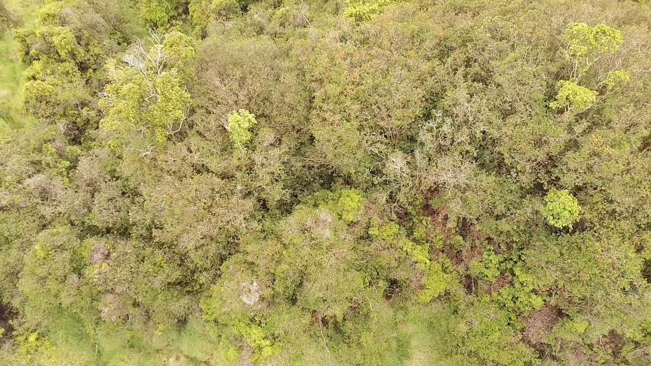 Huina Rd Property Photo 4