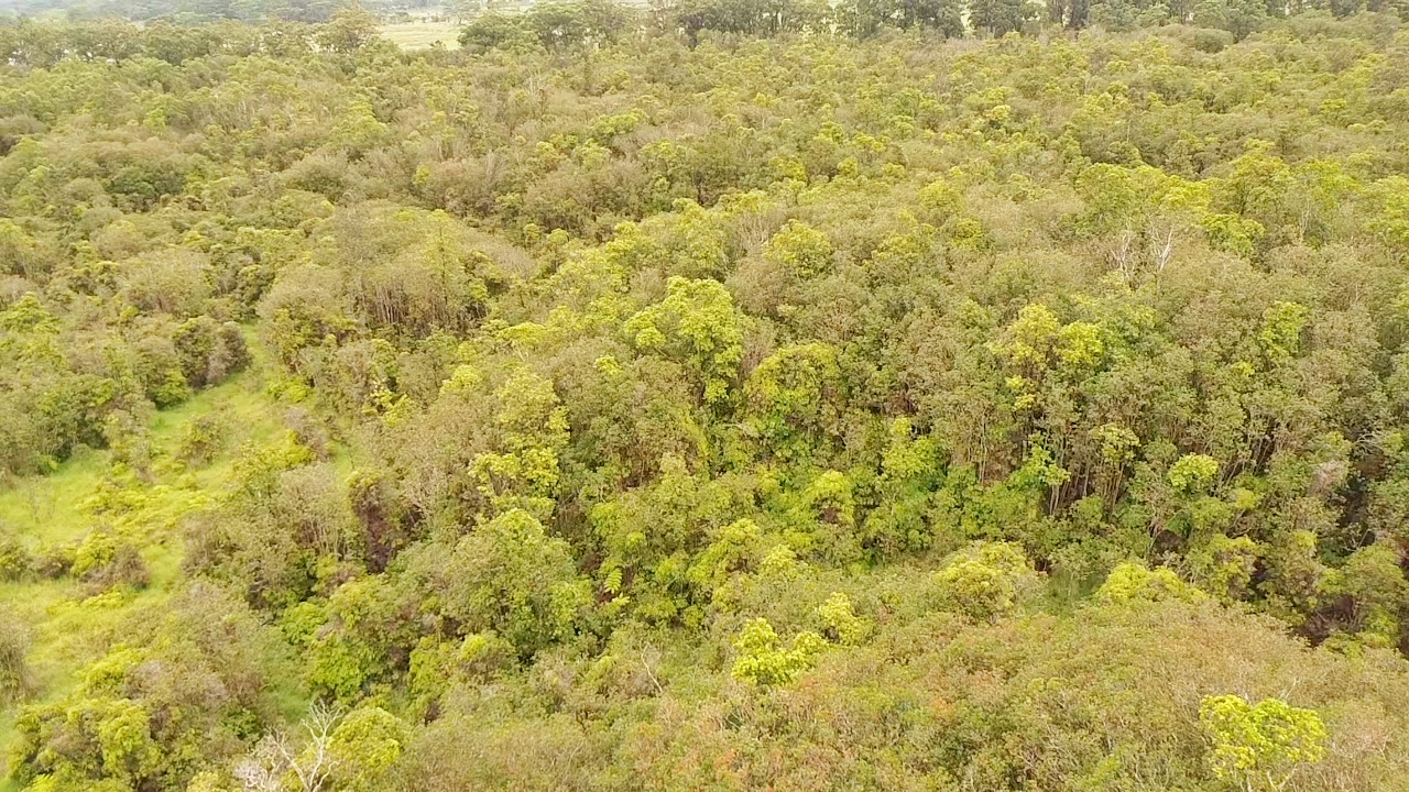 Huina Rd Property Photo 7