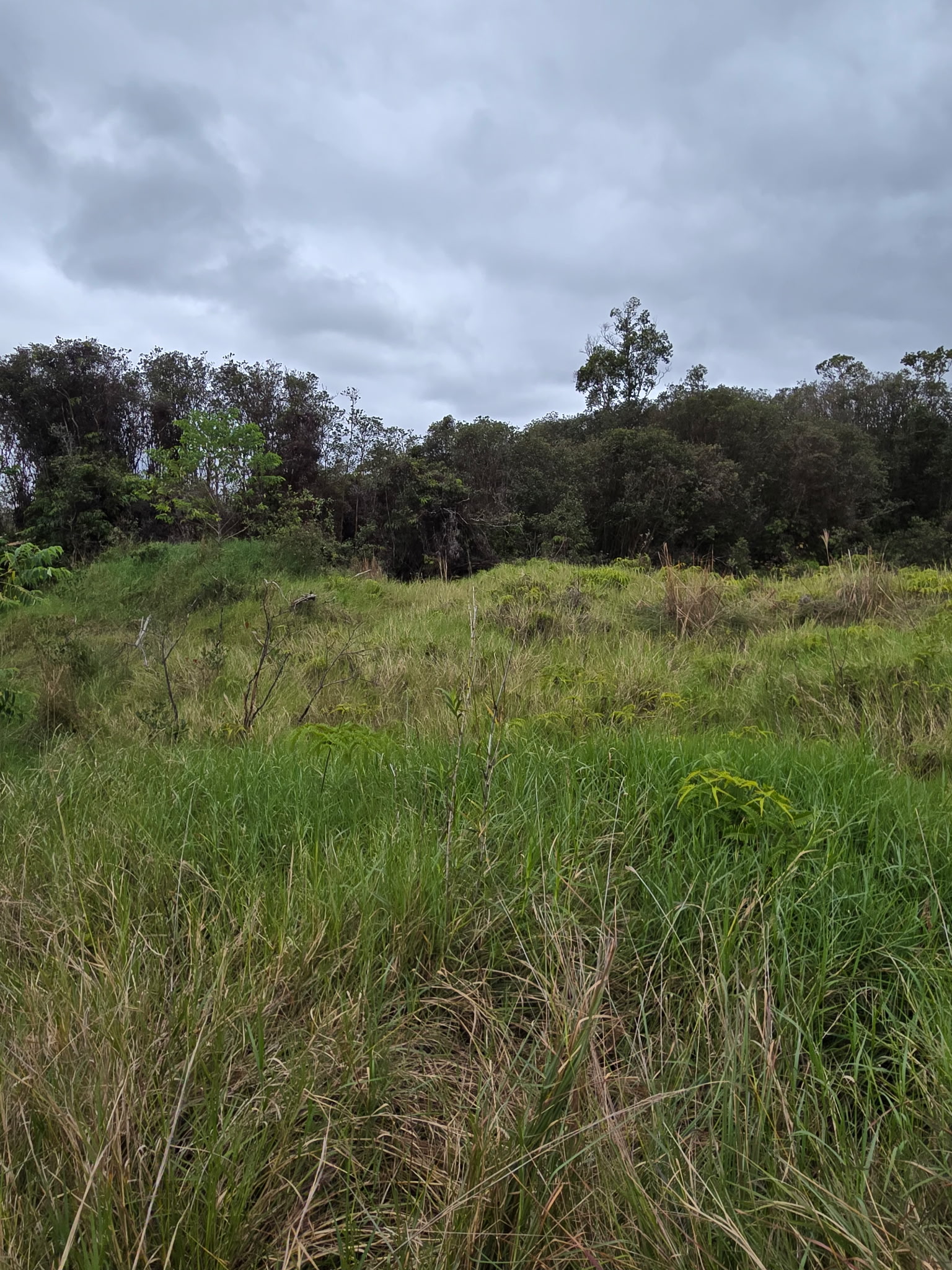 Huina Rd Property Photo 9