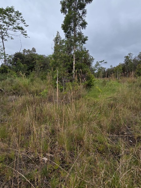 Huina Rd Property Photo 10
