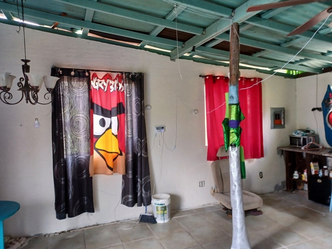 Orchid Parkway Property Photo 5