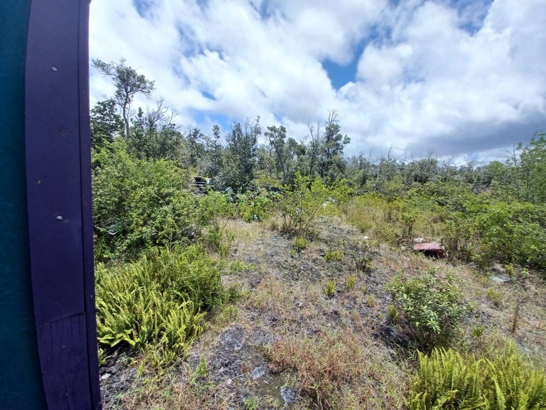 Orchid Parkway Property Photo 9