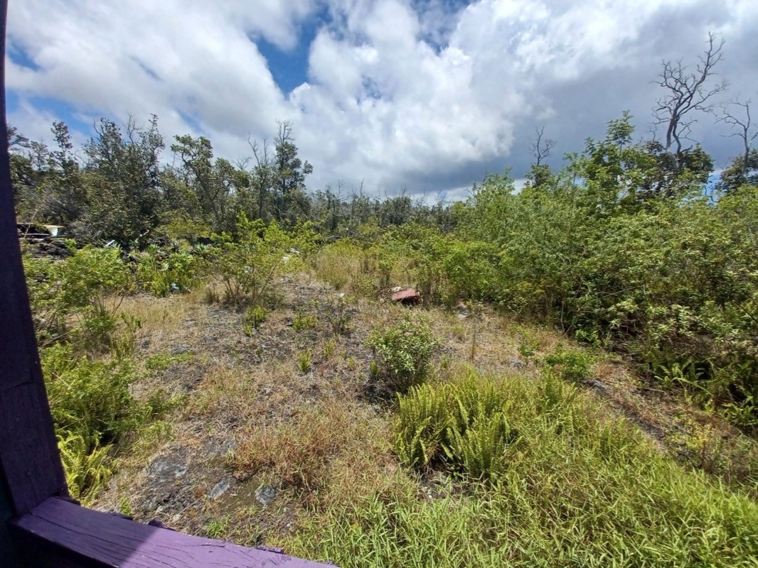 Orchid Parkway Property Photo 11