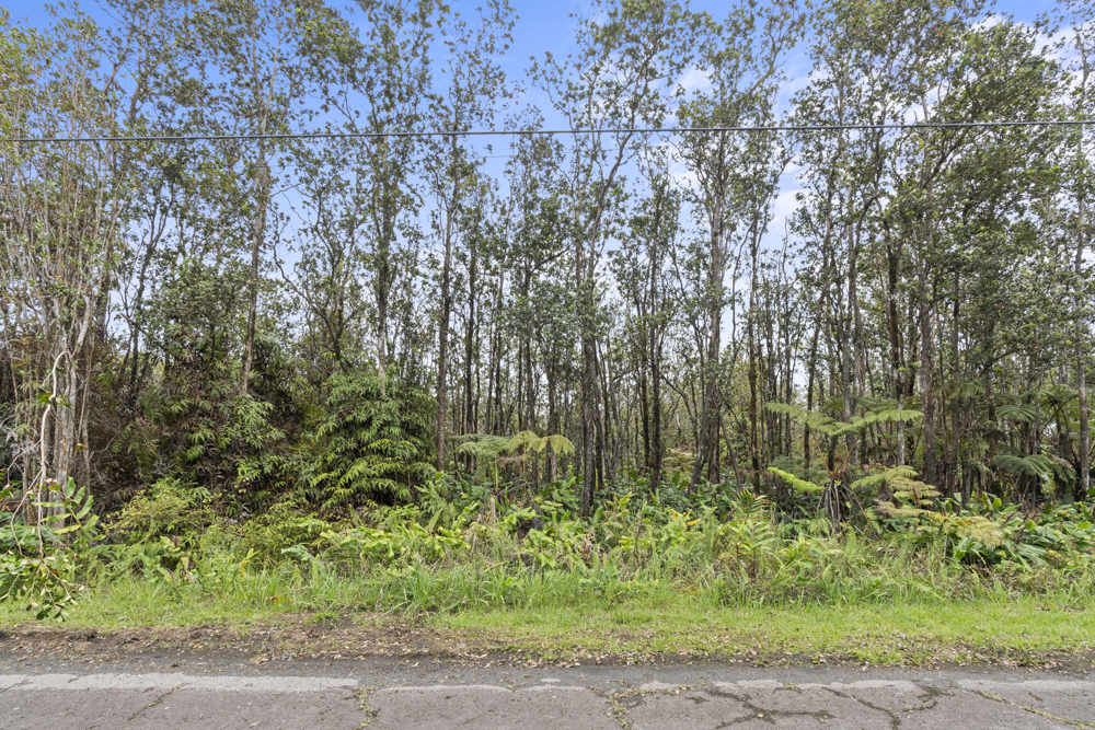 Wohi Pl Property Photo 1